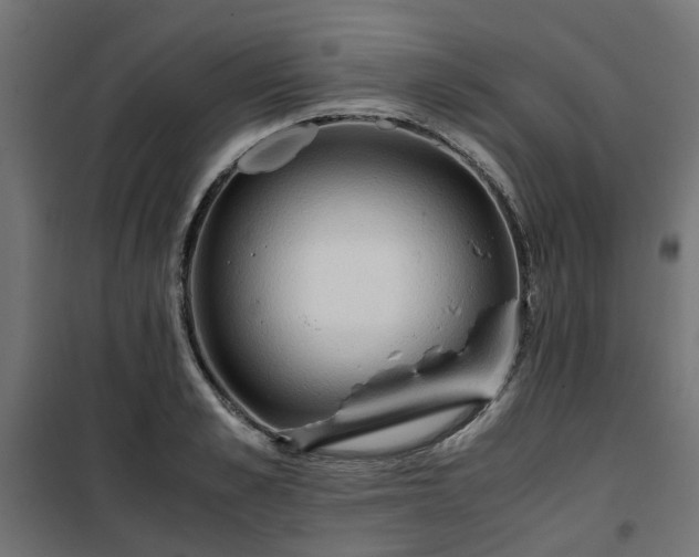 X0000100480989200806201625