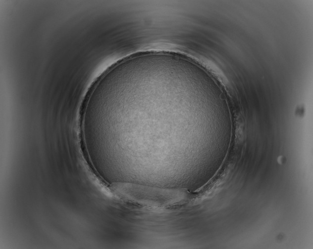 X0000100480990200806201625