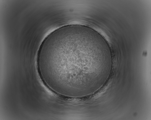 X0000100480991200806201625