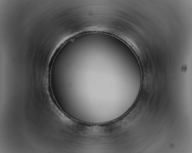 X0000100480992200806201625