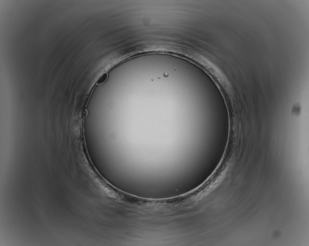 X0000100480993200806201625