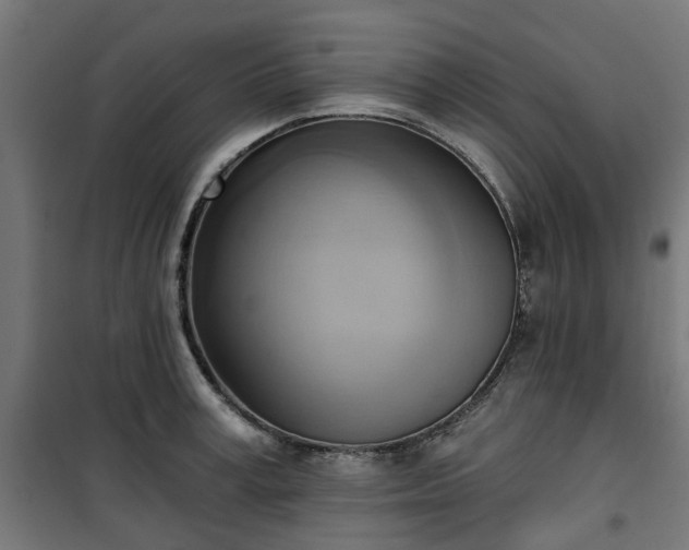 X0000100480995200806201625