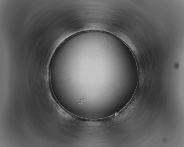 X0000100480996200806201625