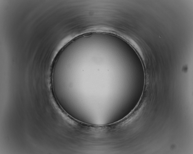 X0000100480997200806201625