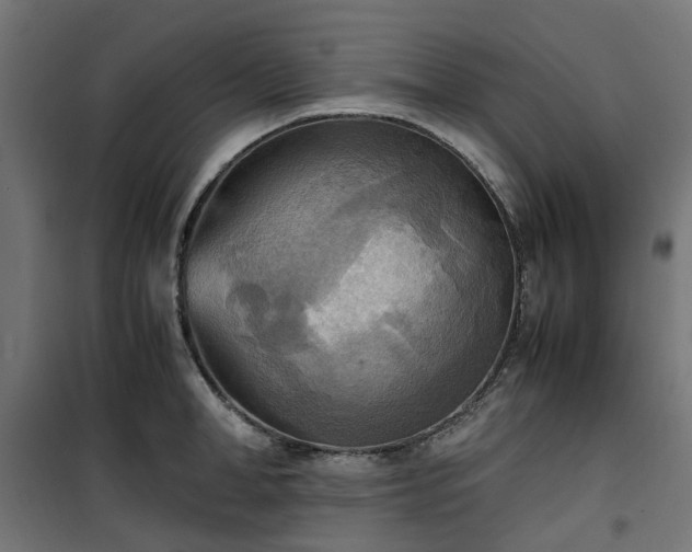 X0000100480998200806201625