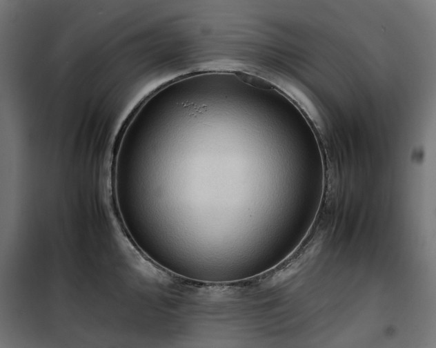 X0000100481000200806201625