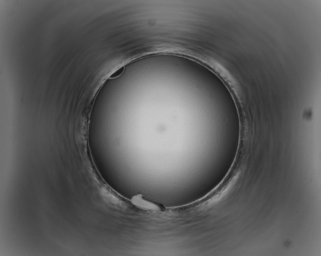 X0000100481001200806201625
