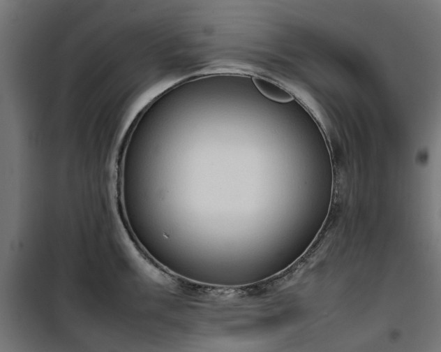 X0000100481003200806201625
