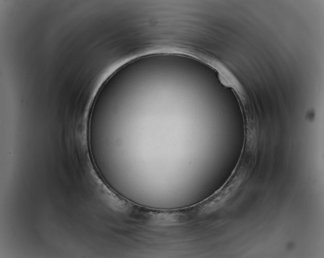 X0000100481004200806201625