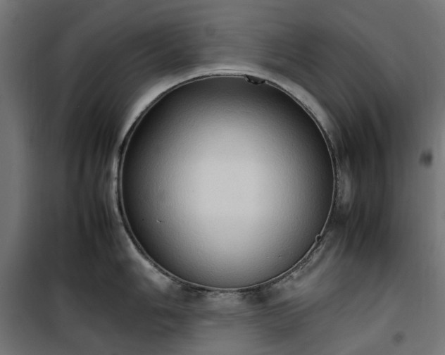 X0000100481006200806201625