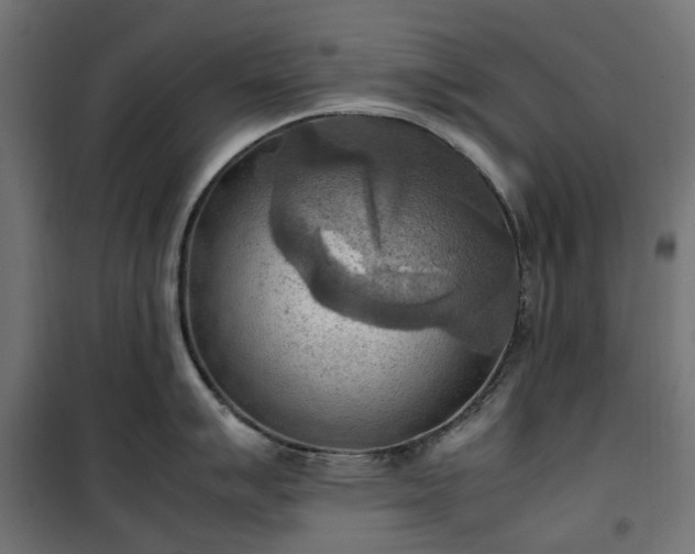 X0000100481007200806201625
