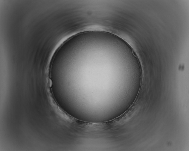 X0000100481008200806201625