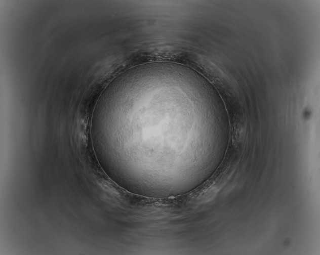 X0000100481010200806201624