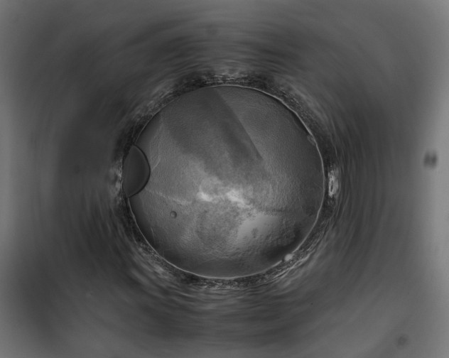 X0000100481011200806201624