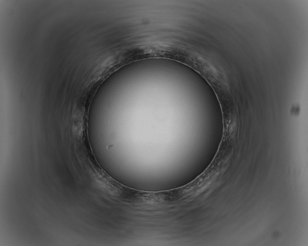 X0000100481012200806201624