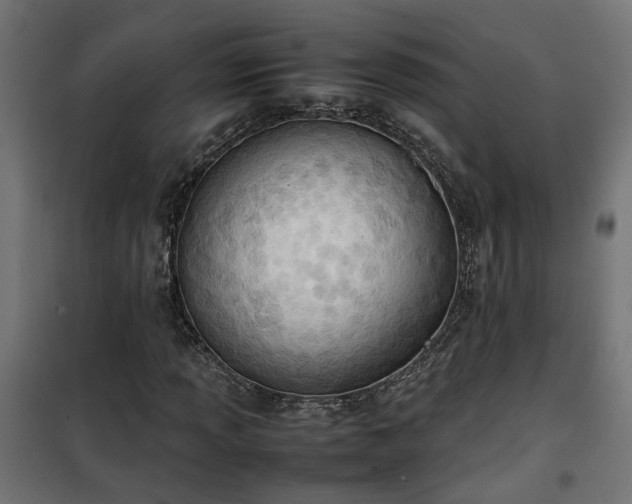 X0000100481013200806201624