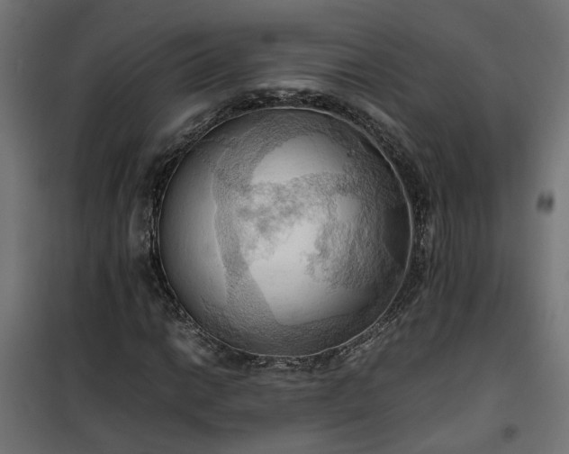 X0000100481014200806201624
