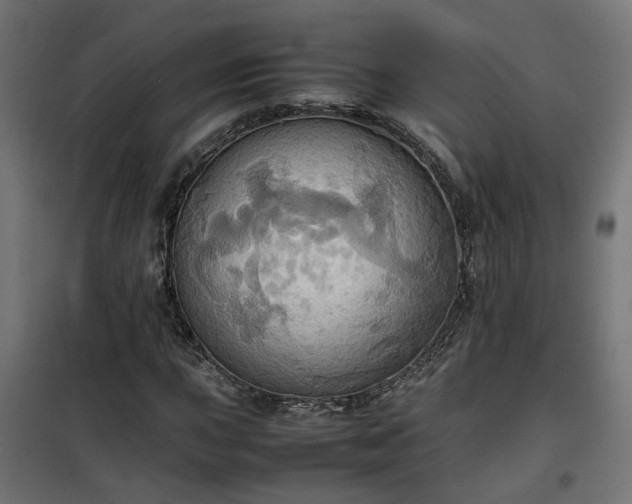 X0000100481015200806201624