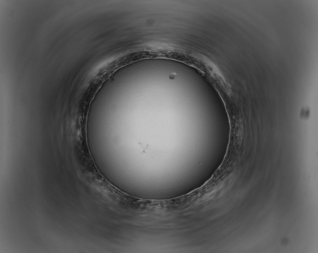 X0000100481016200806201624