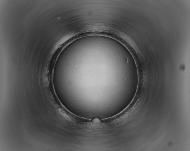 X0000100481018200806201625
