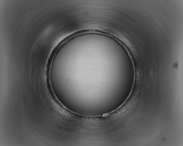 X0000100481020200806201625
