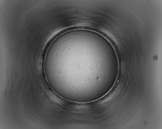 X0000100481021200806201625