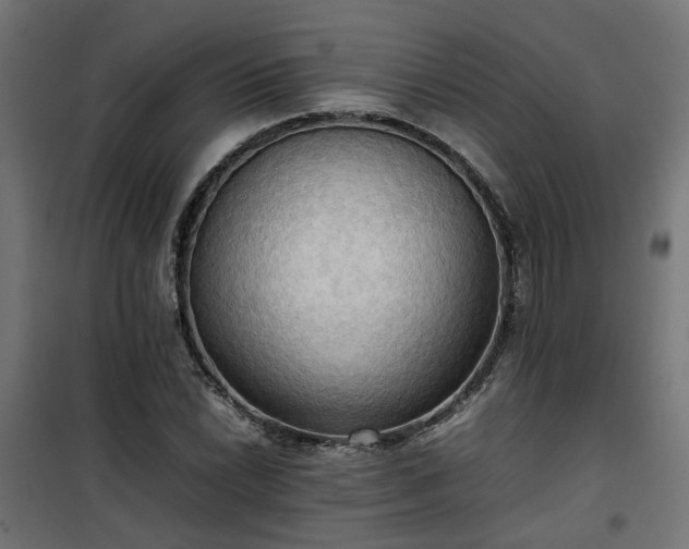 X0000100481022200806201625