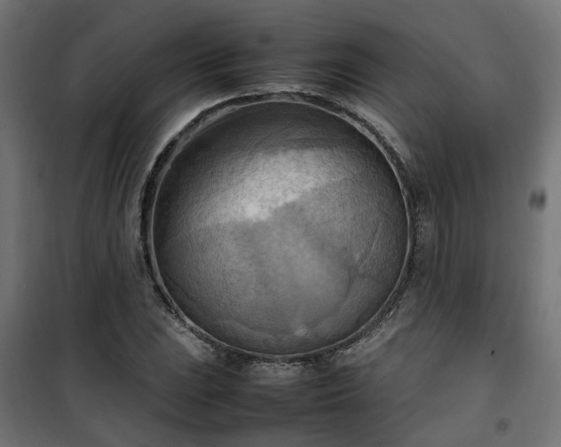 X0000100481023200806201625