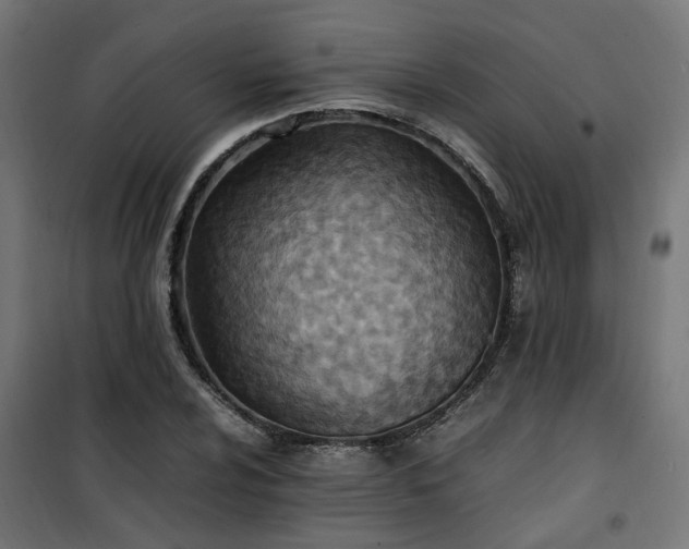 X0000100481024200806201625