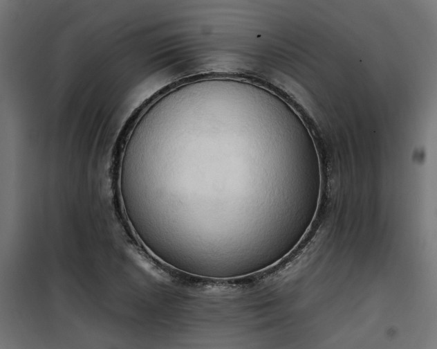 X0000100481026200806201625