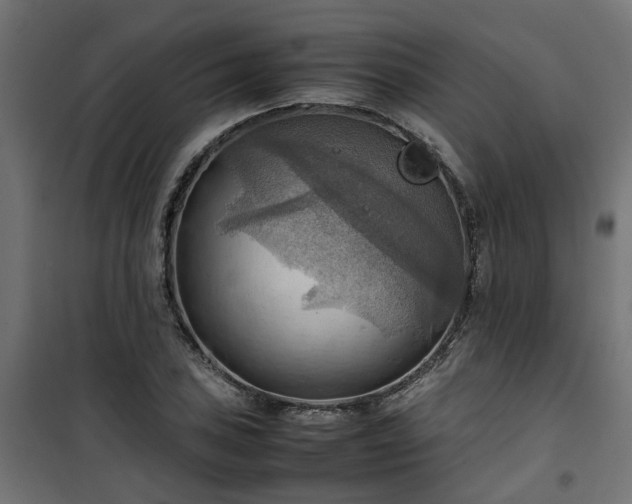 X0000100481027200806201625
