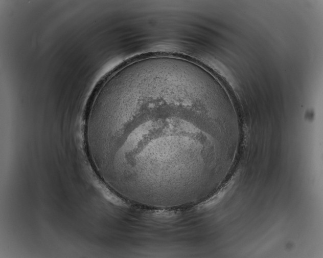 X0000100481029200806201625