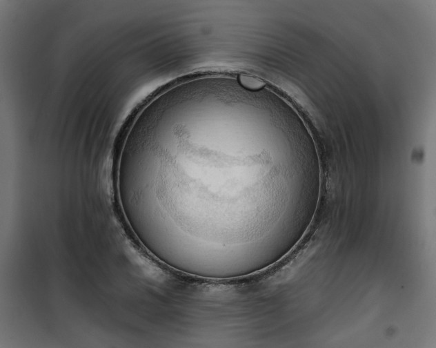 X0000100481030200806201625