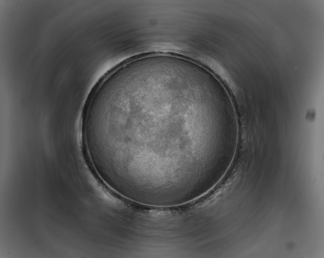 X0000100481032200806201625