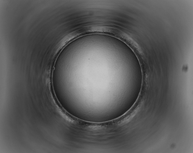 X0000100481033200806201625