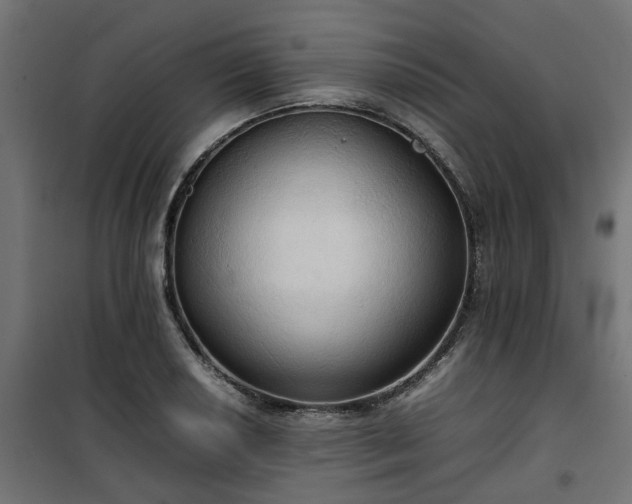 X0000100481034200806201625