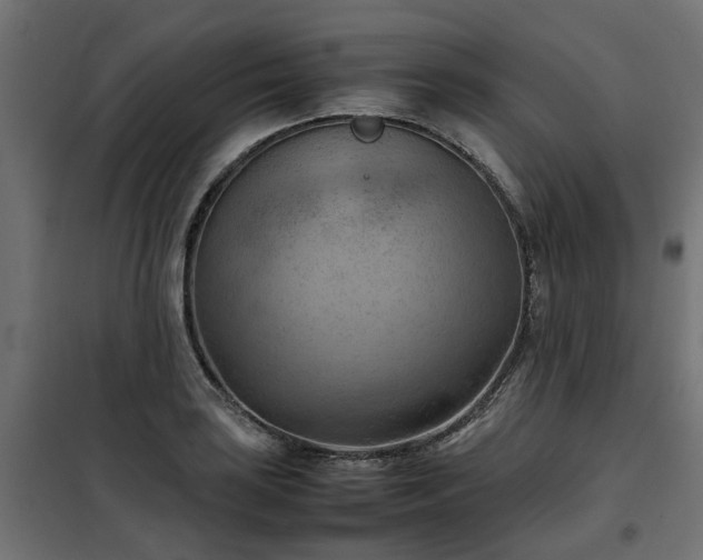 X0000100481035200806201625