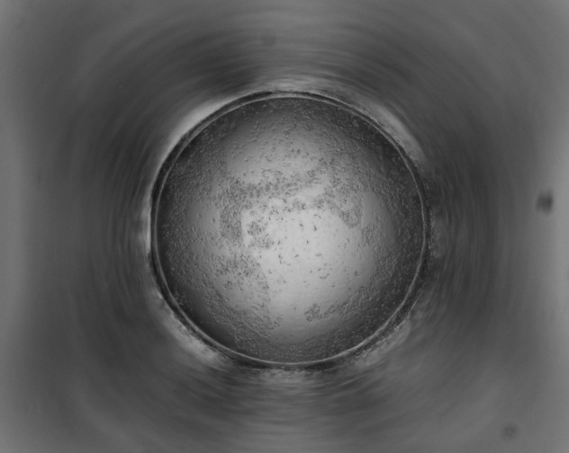 X0000100481036200806201625