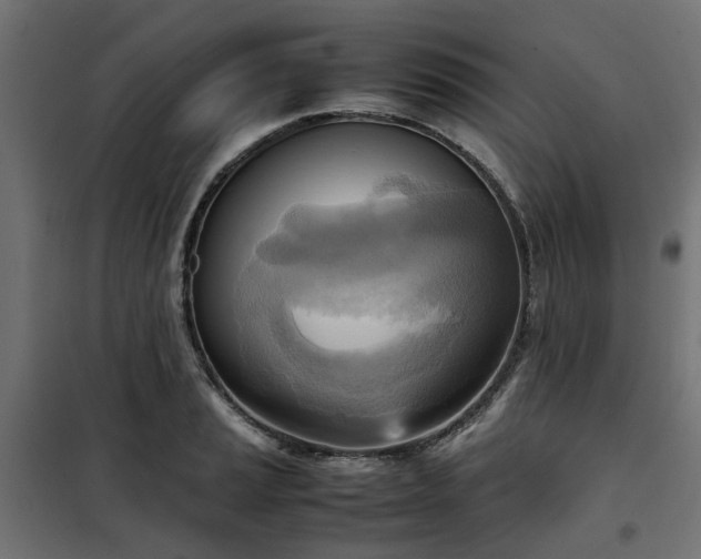 X0000100481037200806201625