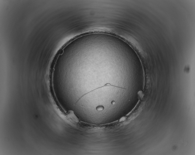 X0000100481038200806201625