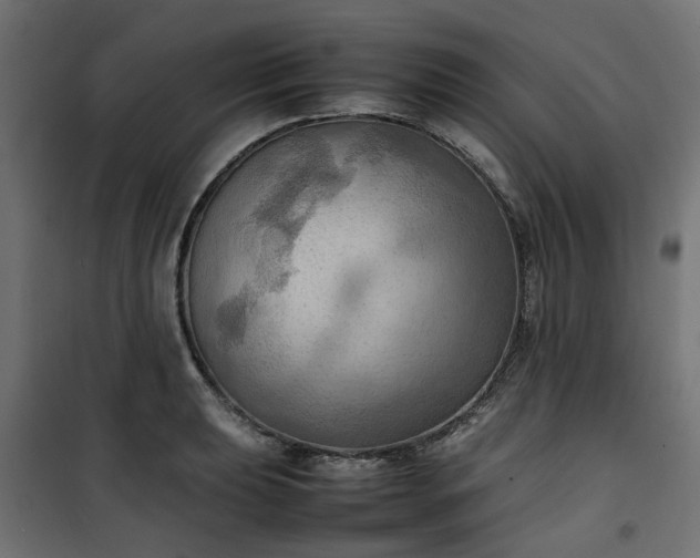 X0000100481039200806201625