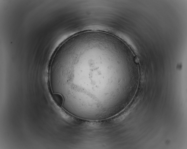 X0000100481040200806201625