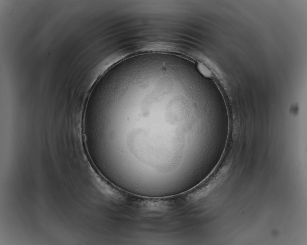 X0000100481041200806201625