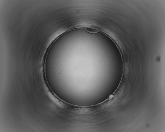 X0000100481042200806201625