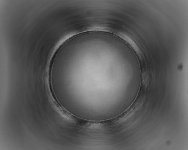 X0000100481043200806201625