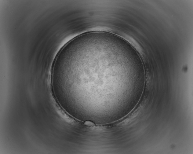 X0000100481044200806201625