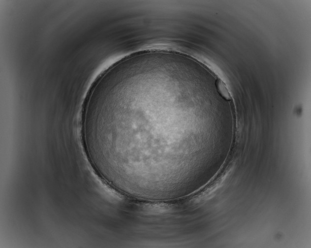 X0000100481045200806201625