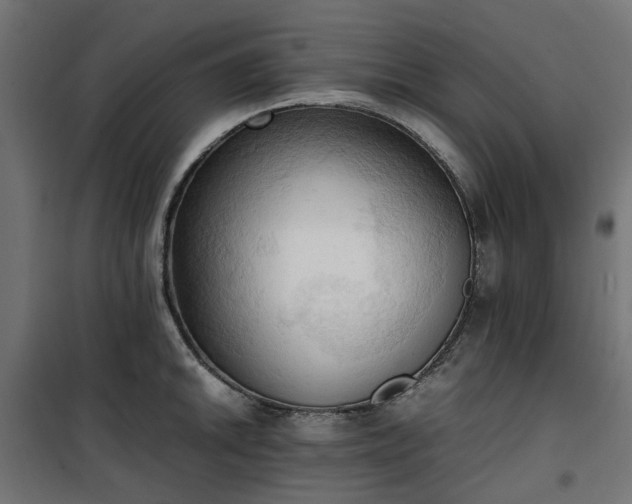 X0000100481046200806201625
