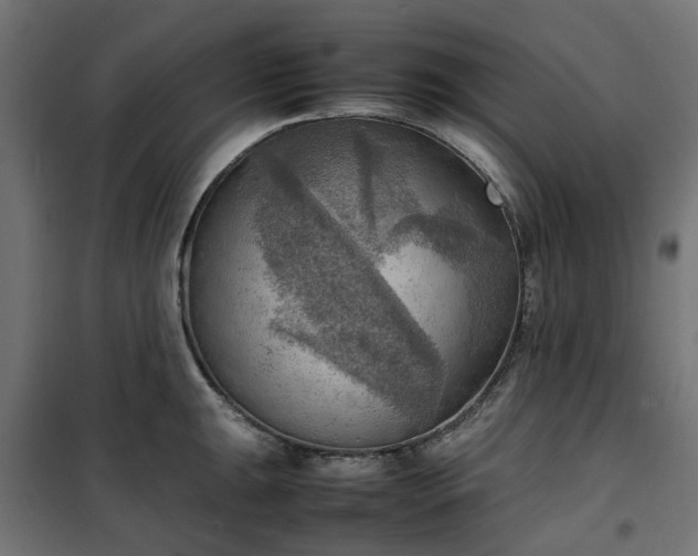 X0000100481047200806201625