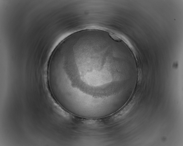 X0000100481048200806201625